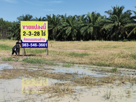 ขายที่ดิน หนองชาก บ้านบึง ชลบุรี ใกล้นิคมอุตสาหกรรมแห่งใหม่ 1.5 กม. เหมาะสร้างคลังสินค้า บ้านจัดสรร รูปที่ 11