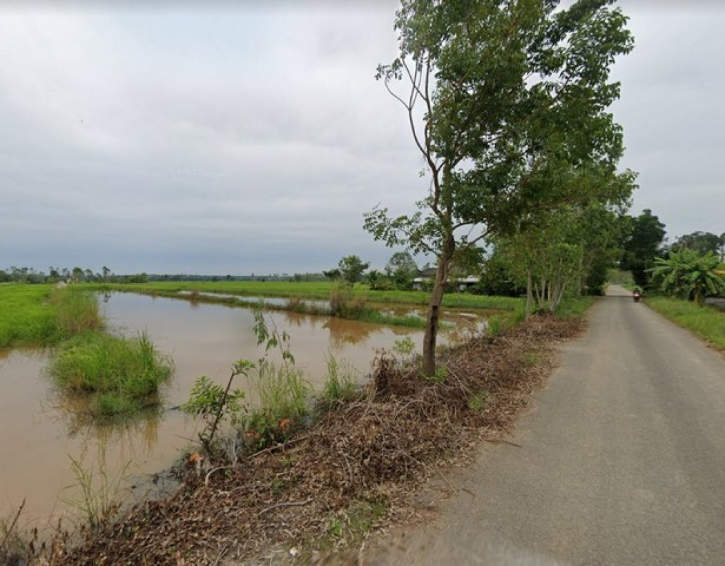 ขายที่ดินเกาะขนุน 3 ไร่ ติดถนนลาดยาง ใกล้ถนนเส้น 331 - 2.7 กม. พนมสารคาม ฉะเชิงเทรา รูปที่ 2