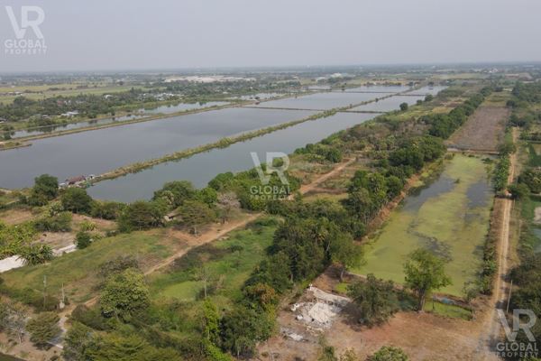 ขายที่ดิน แปลงสวย รังสิต คลองหก ปทุมธานี 58 ไร่กว่า เหมาะสำหรับทำโรงงานขนาดใหญ่, โกงดัง หรือที่พักอยู่อาศัย รูปที่ 7