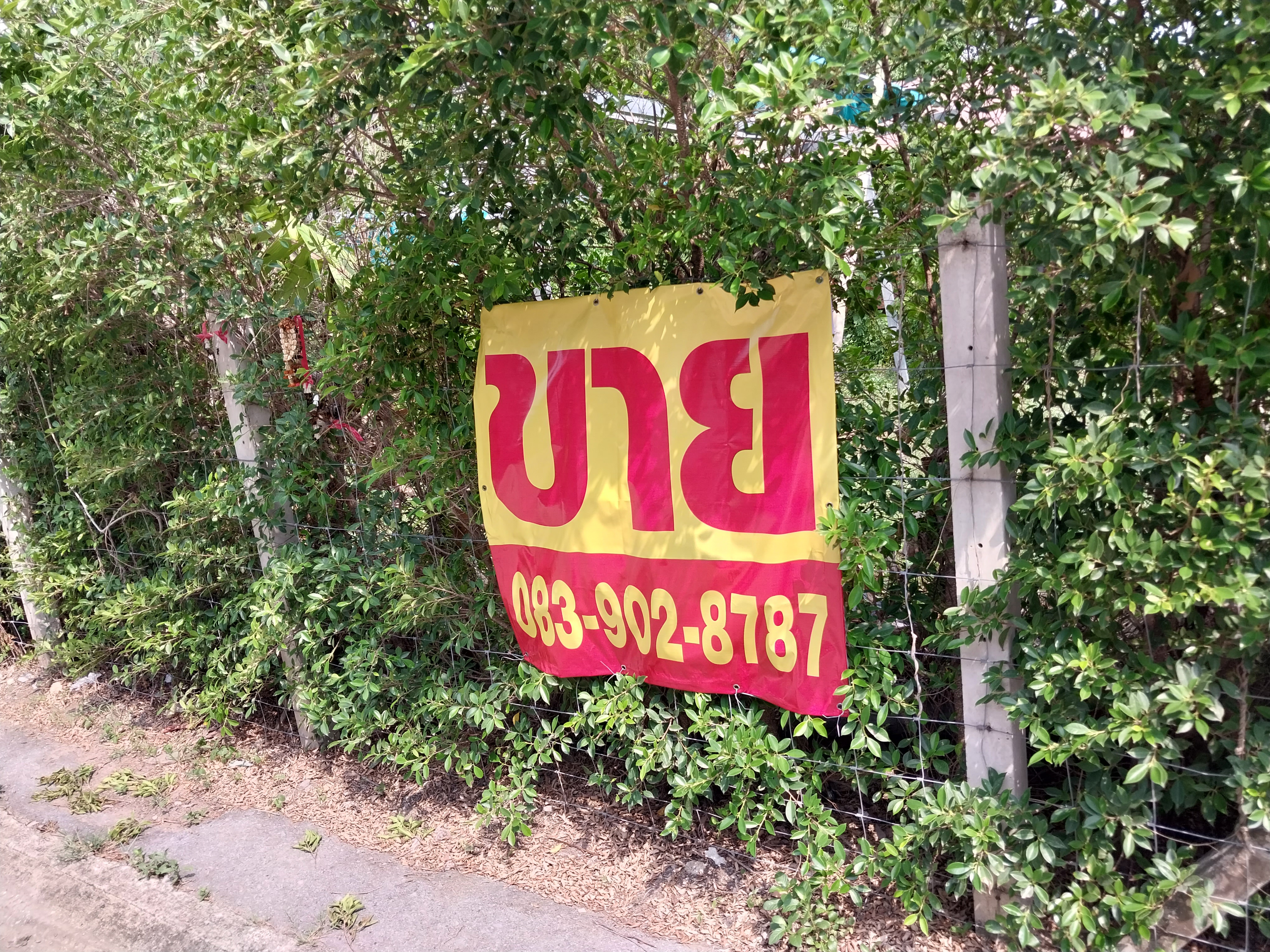 ขาย-เช่า ที่ดินถนนร่มเกล้า ซอย8,ใกล้ม.เกษมบัณฑิต , สนามบินสุวรรณภูมิ 300 ตรวๆละ 40000 บาท รูปที่ 6