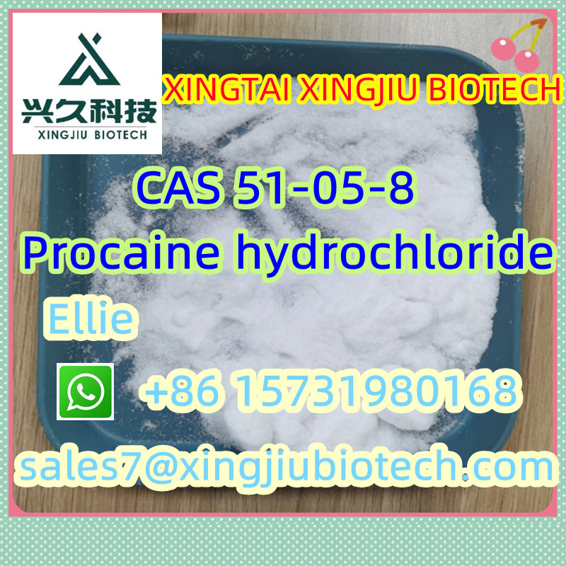 High Quality powder CAS 51-05-8 รูปที่ 1