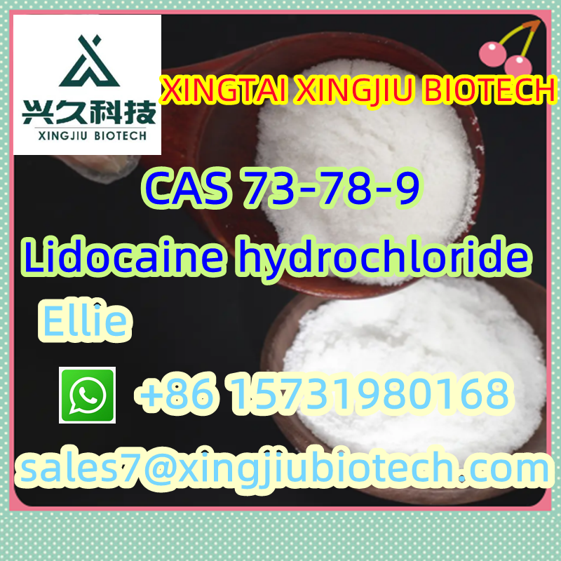 Factory Supply 99% CAS 73-78-9 HCl Best Prices รูปที่ 1