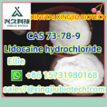 Factory Supply 99% CAS 73-78-9 HCl Best Prices