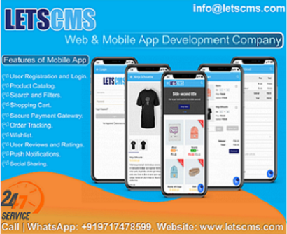 Affordable Mobile App Development Solutions: Empowering Your Business  รูปที่ 1