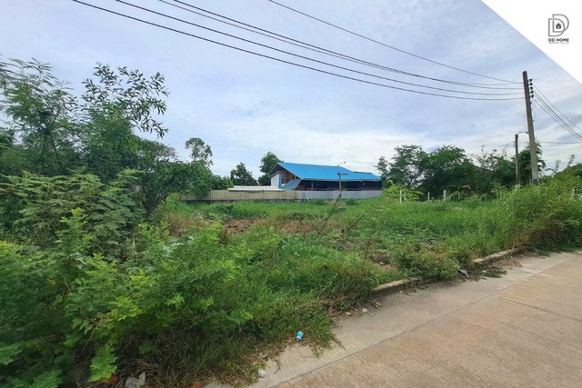 ขายที่ดินหมู่บ้านชัชฏาวิลล่า4 บางแวก ถนนพุทธมณฑลสาย1-2 (DD001357) รูปที่ 1
