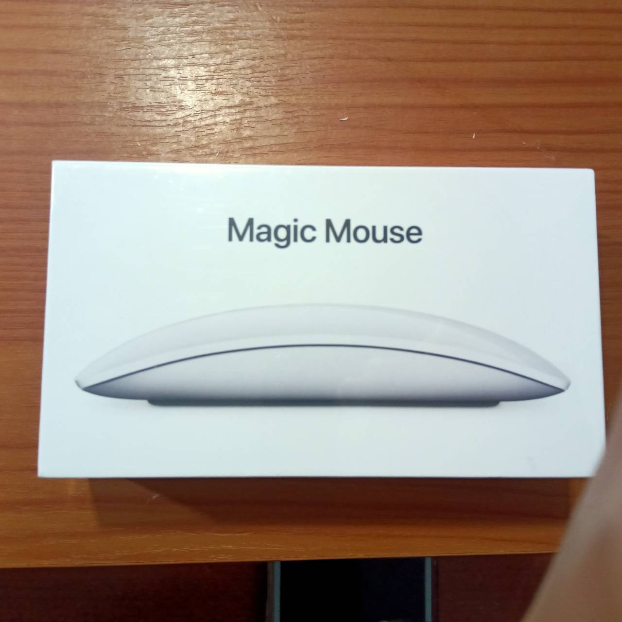 Magic Mouse 2 รูปที่ 1