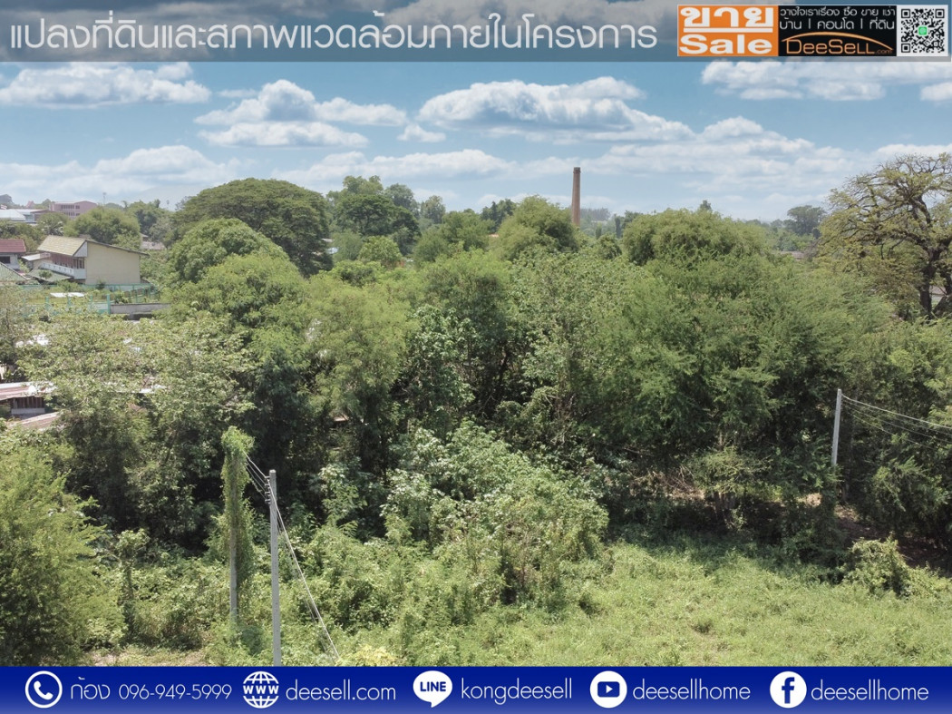 ขายที่ดินราคาถูก โครงการแมกไม้ ชายน้ำ แก่งคอย สระบุรี 73.9 ตร.ว. ถมแล้ว รูปที่ 10
