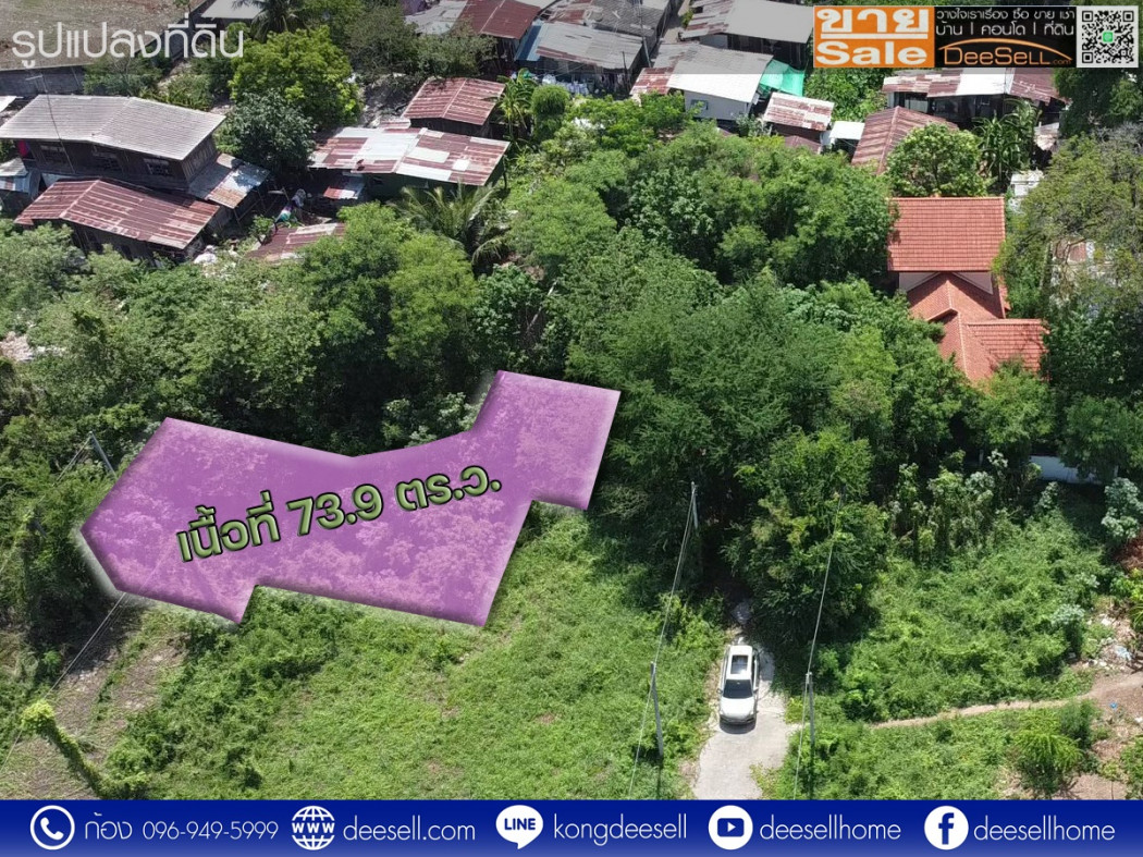 ขายที่ดินราคาถูก โครงการแมกไม้ ชายน้ำ แก่งคอย สระบุรี 73.9 ตร.ว. ถมแล้ว รูปที่ 7
