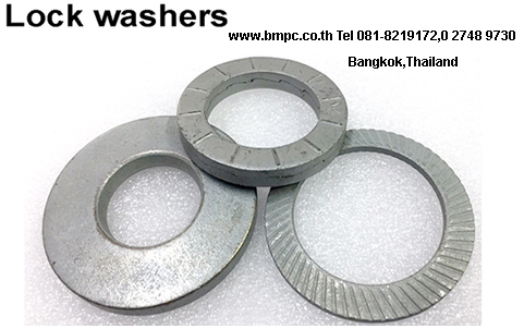 Schnorr, Disc spring, แหวนสปริงจาน, Wedge lock washer, แหวนล๊อกคู่กันคลาย, Wave washer, แหวนกะทะ, Serrated Safety Washers รูปที่ 1