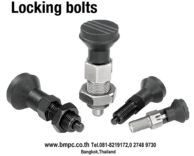 Locking bolt, Indexing plunger, Plunger with pin, สลักล๊อกตำแหน่ง, K0338, K0339, Plug index รูปที่ 1