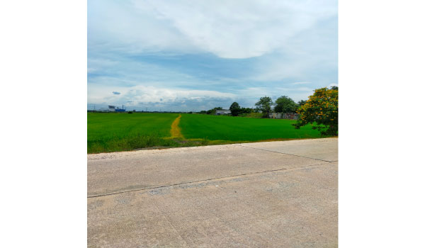 ที่ดินแปลงใหญ่ 92 ไร่ พื้นที่สีม่วง เขตไทรน้อย จังหวัดนนทบุรี   รูปที่ 5