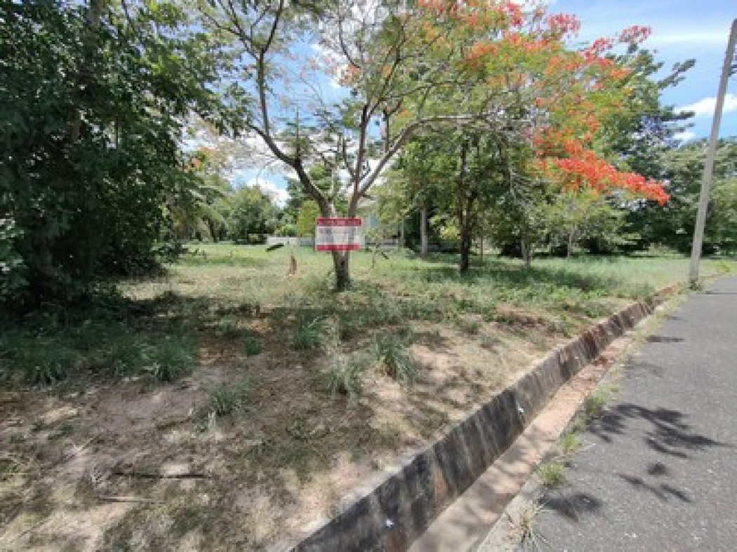ขายที่ดิน ใกล้นิคมอุตสาหกรรม โรจนะ แหลมฉบัง และ หนองแขวะ  102 ตร.วา วิวภูเขา ติดอ่างเก็บน้ำ รูปที่ 5