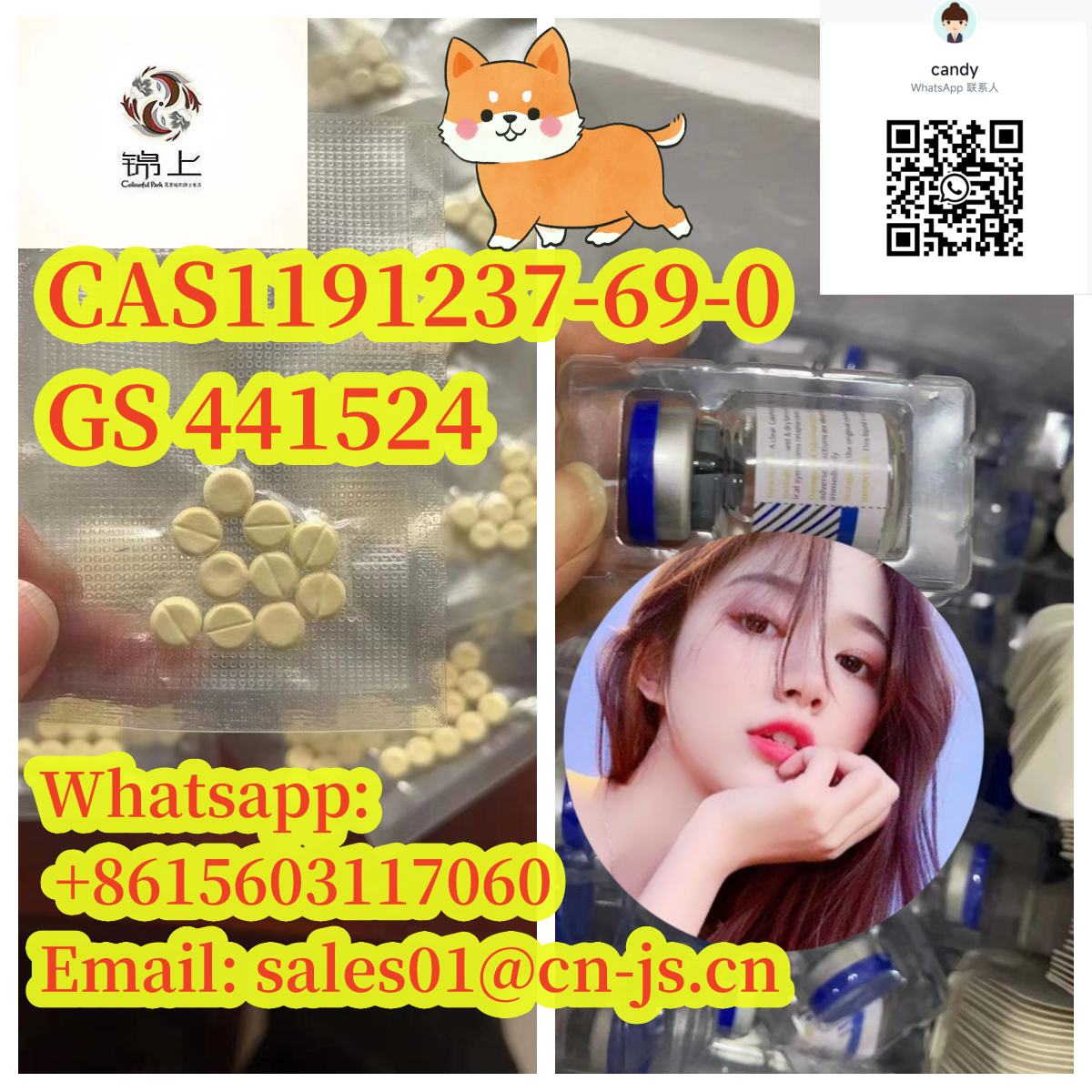 high quality CAS1191237-69-0 GS 441524 รูปที่ 1