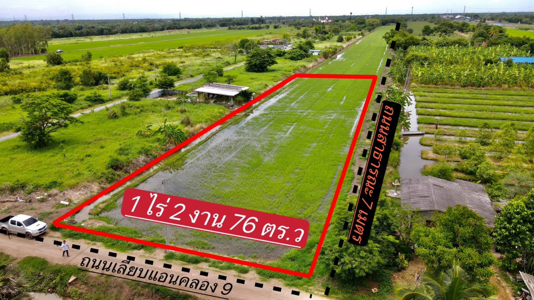 ขายที่ดินบึงบอน 1.5 ไร่ คลองเก้า ติดถนนเลียบคลอง ใกล้ตลาดคลอง 8 วิลล่า - 5.7 กม. อ.หนองเสือ ปทุมธานี รูปที่ 4