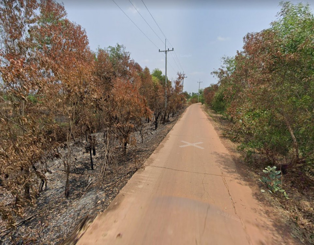 ขายที่ดินหนองยาว 16 ไร่ ติดถนนคอนกรีต ติดคลองส่งน้ำ ใกล้ถนนเส้น 3002 - 2 กม. พนมสารคาม ฉะเชิงเทรา รูปที่ 3