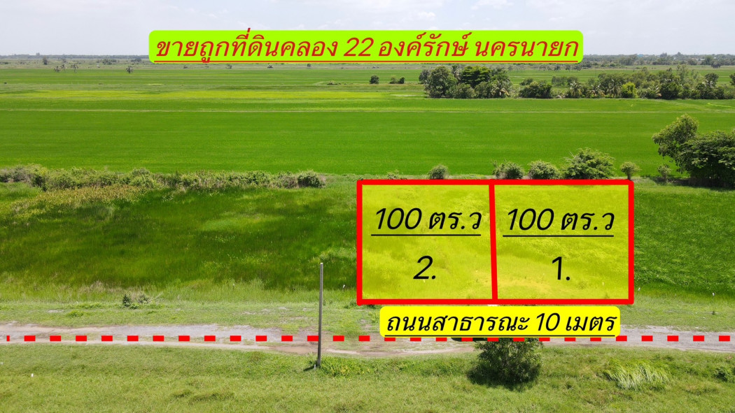 NYK-269 ขายที่ดินพระอาจารย์ 100 ตรว. คลอง 22 ราคายกแปลง 290,000 บาท ใกล้ถนนเส้น 3001 - 5.5 กม. อ.องครักษ์ จ.นครนายก รูปที่ 4