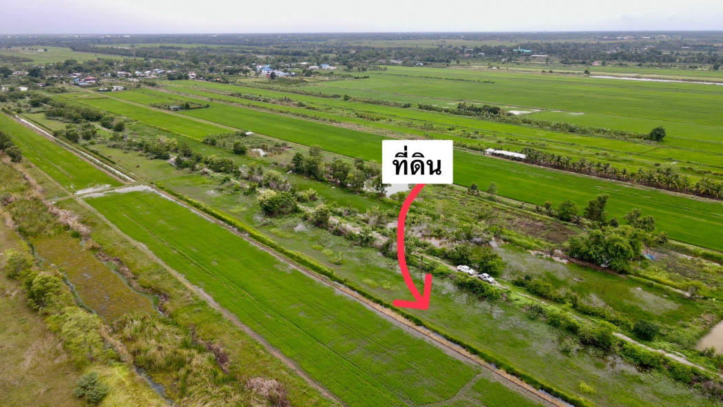ขายที่ดินบึงศาล 105 ตรว. คลอง 15 ใกล้อบต.บึงศาล - 1.5 กม. อ.องครักษ์ จ.นครนายก รูปที่ 5