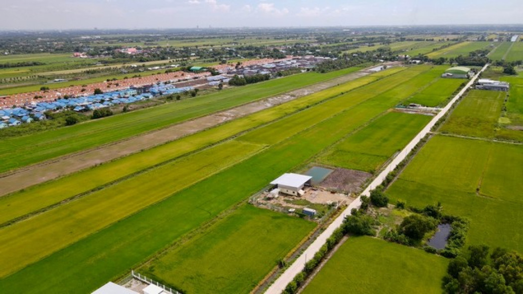ขายที่ดินคลองหลวง 1 ไร่ คลองห้า ใกล้ถนนเส้น 3010 - 850 เมตร จ.ปทุมธานี รูปที่ 6