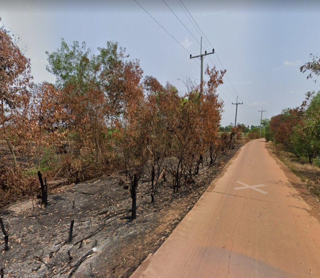 ขายที่ดินหนองยาว 16 ไร่ ติดถนนคอนกรีต ติดคลองส่งน้ำ ใกล้ถนนเส้น 3002 - 2 กม. พนมสารคาม ฉะเชิงเทรา รูปที่ 4