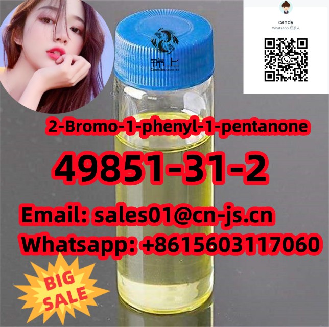 hot sale CAS49851-31-2 2-Bromo-1-phenyl-1-pentanone  รูปที่ 1