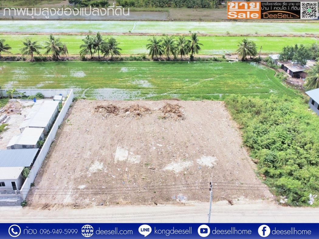 ขายที่ดิน ไทรน้อย ราษฎร์นิยม นนทบุรี 1 ไร่ รูปแปลงสวย ถมแล้ว ราคาถูก รูปที่ 11