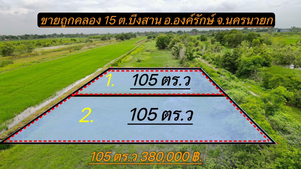 ขายที่ดินบึงศาล 105 ตรว. คลอง 15 ใกล้อบต.บึงศาล - 1.5 กม. อ.องครักษ์ จ.นครนายก รูปที่ 3