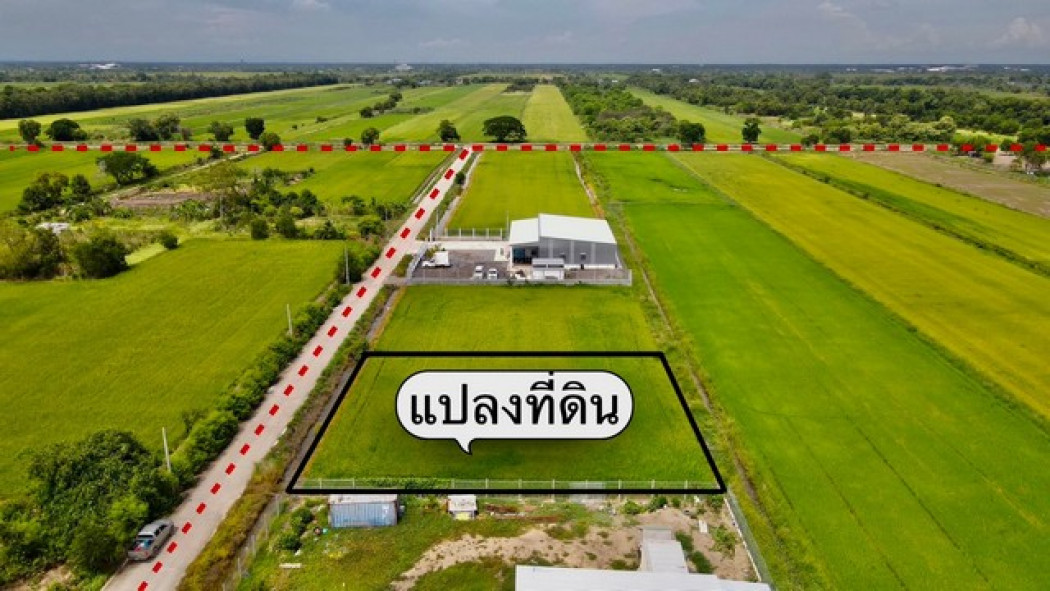 ขายที่ดินคลองหลวง 1 ไร่ คลองห้า ใกล้ถนนเส้น 3010 - 850 เมตร จ.ปทุมธานี รูปที่ 3