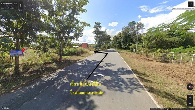 ขายที่ดิน พร้อมบ้านสวน 2 หลัง ต.พญาแก้ว  อ.เชียงกลาง  จ.น่าน    ZN491 รูปที่ 1