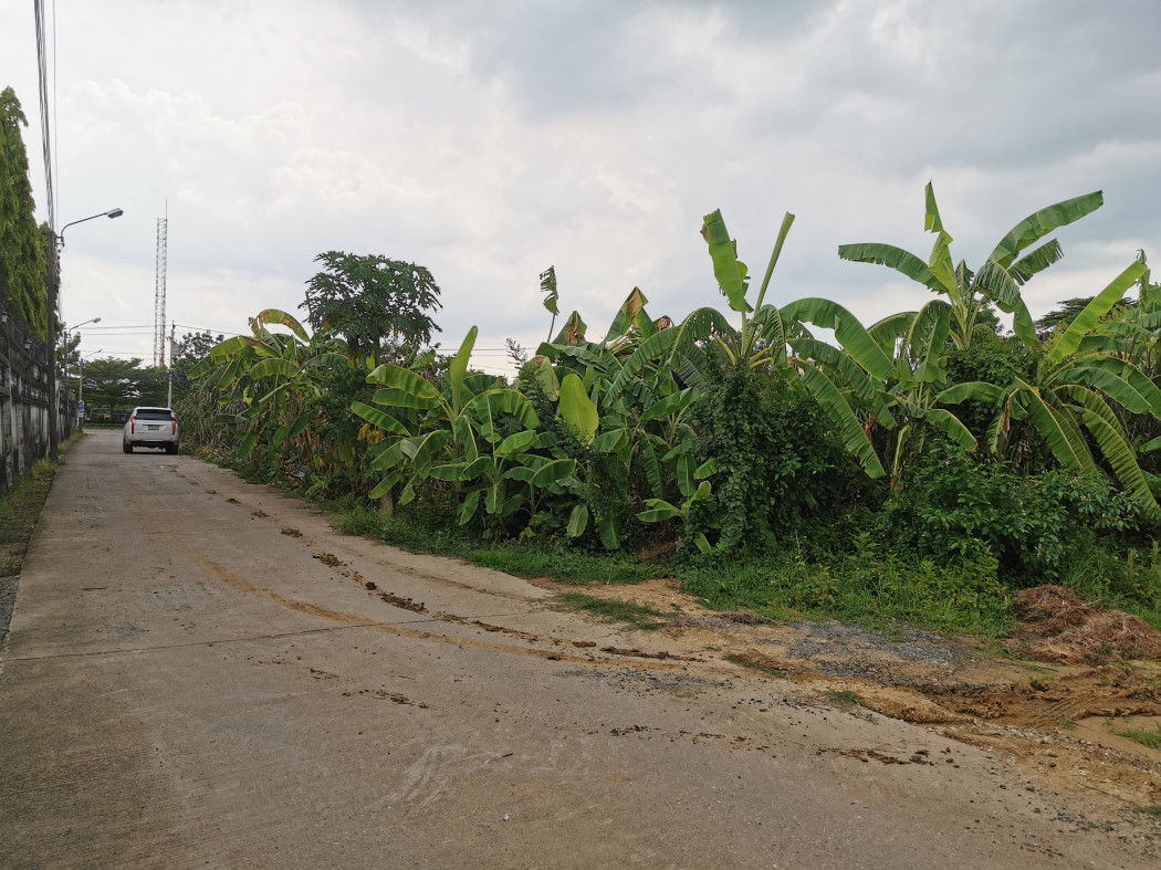ขาย ที่ดิน - 3 งาน 13 ตร.วา ที่แปลงสวย ใกล้ทางด่วนศรีรัช รูปที่ 3