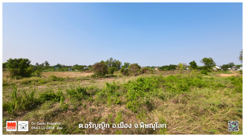 ขายที่ดิน 1-2-90 ไร่ ใกล้สวนเฉลิมพระเกียรติฯ ต.อรัญญิก อ.เมือง จ.พิษณุโลก รูปที่ 1