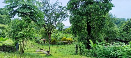 ขาย ที่ดิน ติดทะเล ติดท่าเรือ 81 ไร่ 214 ตร.วา จังหวัดระนอง รูปที่ 5