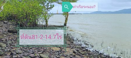 ขาย ที่ดิน ติดทะเล ติดท่าเรือ 81 ไร่ 214 ตร.วา จังหวัดระนอง รูปที่ 4
