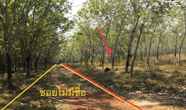 ขายที่ดินว่างเปล่า อำเภอโพนพิสัย หนองคาย (PKK01-11566) รูปที่ 1