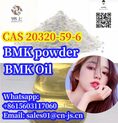 good price BMK Powder/Oil CAS20320-59-6