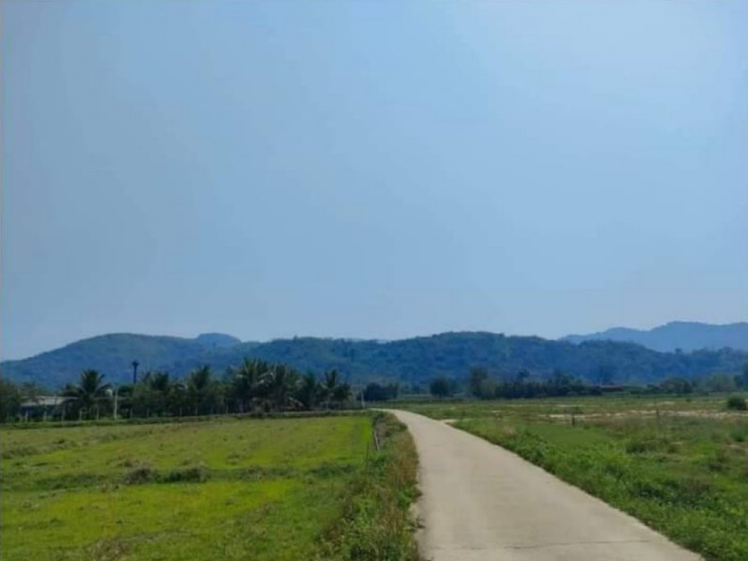 ขายที่ดินเขาเพิ่ม 2 ไร่ เหมาะปลูกบ้านสวนทำโคกหนองนา ติดถ.คอนกรีต อ.บ้านนา จ.นครนายก รูปที่ 2