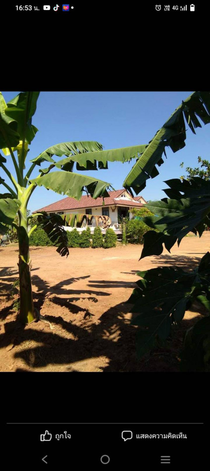 ขาย บ้านเดี่ยว ที่ดินเปล่า โคราช  6392 ตรม. 1 ไร่ 3 งาน 98 ตร.วา พร้อมบ้าน รูปที่ 4