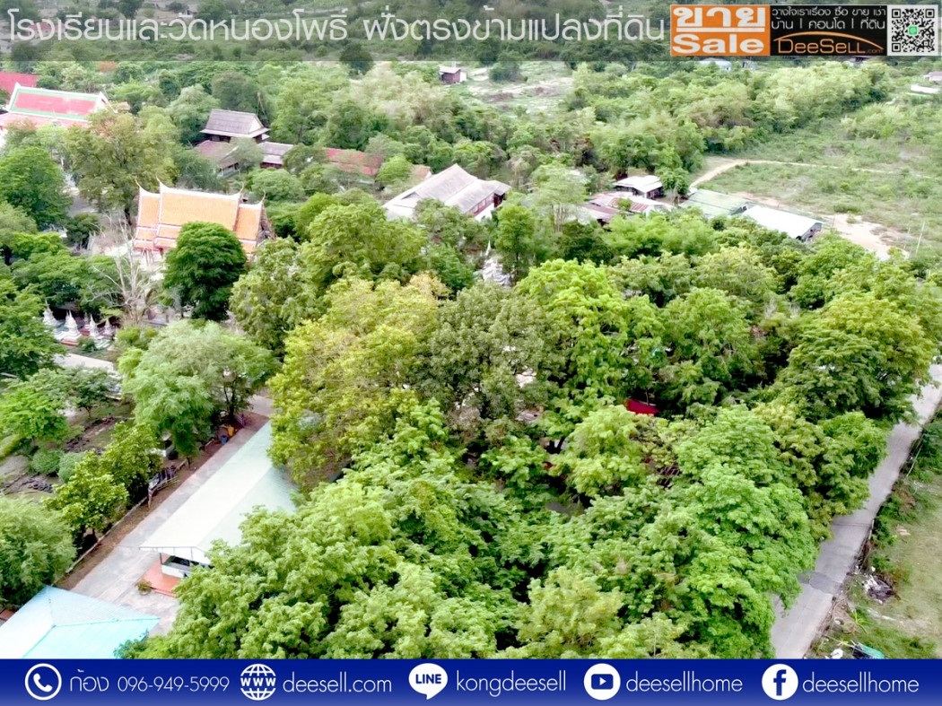 ขายที่ดินวิหารแดง สระบุรี ซอยเทศบาล 13 หนองสรวง 20 ไร่ ถมแล้ว ราคาถูก รูปที่ 10