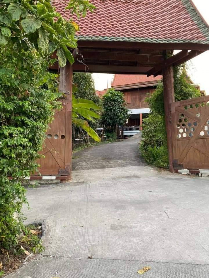 ขาย บ้านเดี่ยว ริมแม่น้ำเจ้าพระยา บ้านเดียว 400 ตรม. 1 ไร่ รูปที่ 4