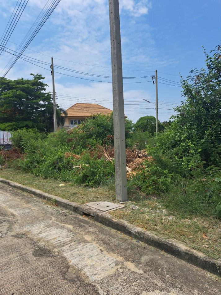 ขาย ที่ดิน 2 แปลง ติดกัน มหาชัยเมืองทอง 278 ตร.วา ตารางวา ละ 25000 รูปที่ 2