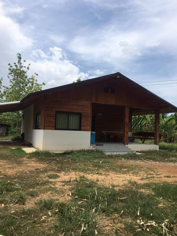 ขาย บ้านเดี่ยว บ้านสร้างจากไม้สักบ้านเดียว 180 ตรม. 3 ไร่ 3 งาน ทำเลสวย รูปที่ 2