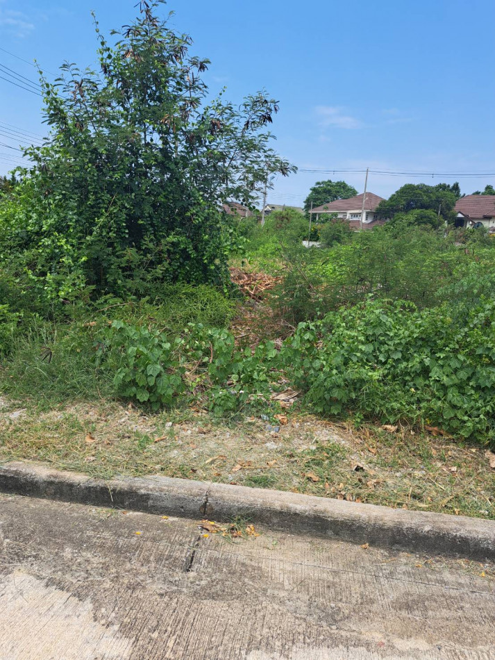 ขาย ที่ดิน 2 แปลง ติดกัน มหาชัยเมืองทอง 278 ตร.วา ตารางวา ละ 25000 รูปที่ 3