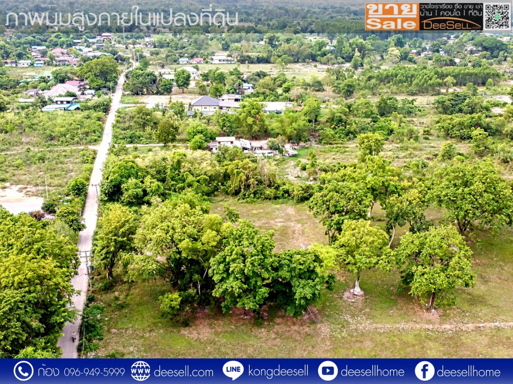 ขายที่ดินวิหารแดง สระบุรี ซอยเทศบาล 13 หนองสรวง 20 ไร่ ถมแล้ว ราคาถูก รูปที่ 8