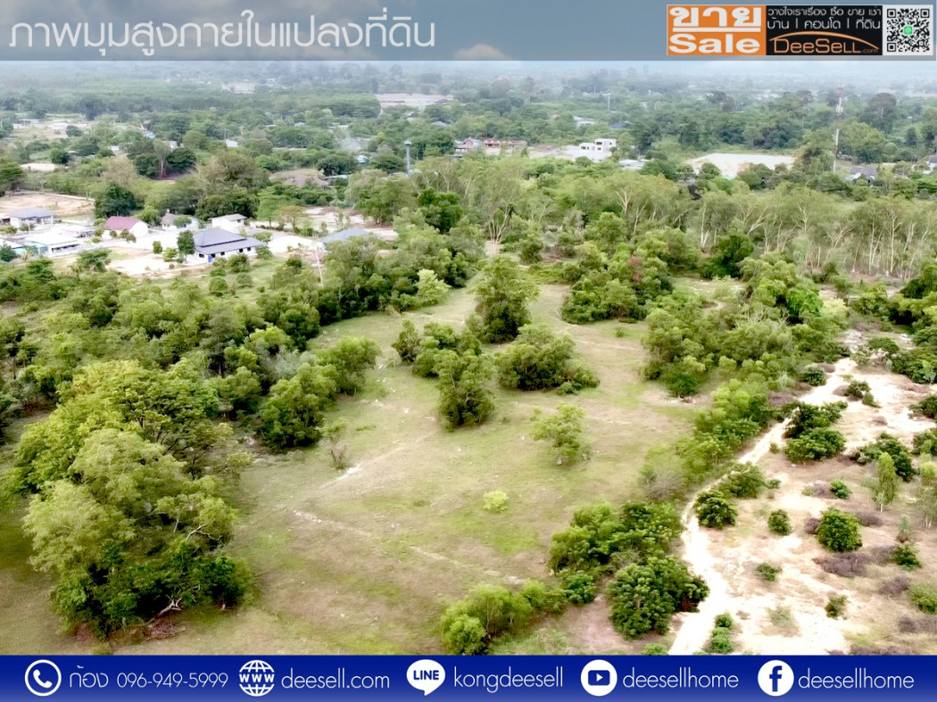 ขายที่ดินวิหารแดง สระบุรี ซอยเทศบาล 13 หนองสรวง 20 ไร่ ถมแล้ว ราคาถูก รูปที่ 7