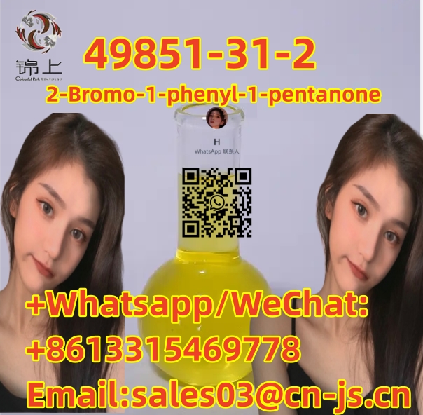 Hot Selling 49851-31-2 2-Bromo-1-phenyl-1-pentanone รูปที่ 1