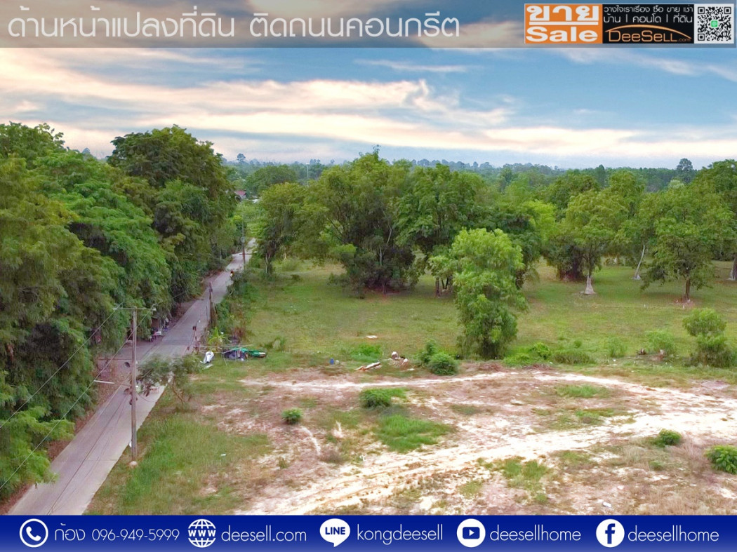 ขายที่ดินวิหารแดง สระบุรี ซอยเทศบาล 13 หนองสรวง 20 ไร่ ถมแล้ว ราคาถูก รูปที่ 9