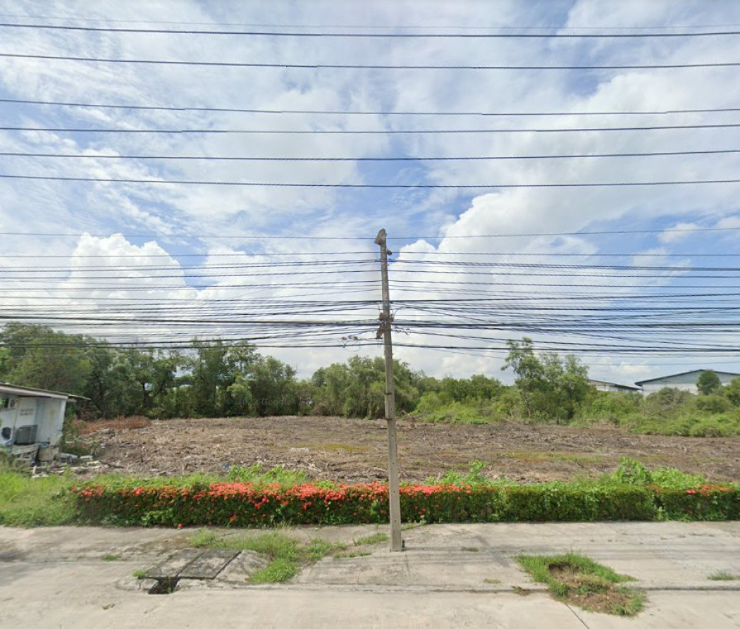 ขายที่ดินท่าข้าม บางปะกงสีม่วงอ่อน 1 ไร่ ติดคลอง ติดถนนเส้นสุขุมวิท 2 สายเก่า ใกล้ถ.เทพรัตน - 80 เมตร จ.ฉะเชิงเทรา รูปที่ 2