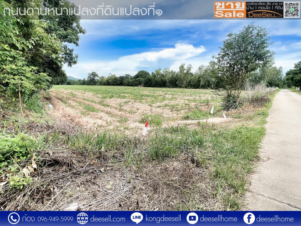 ขายที่ดินสระบุรี เจริญธรรม อำเภอวิหารแดง 2 แปลงรวม 30 ไร่ ราคาถูกที่สุด รูปที่ 4