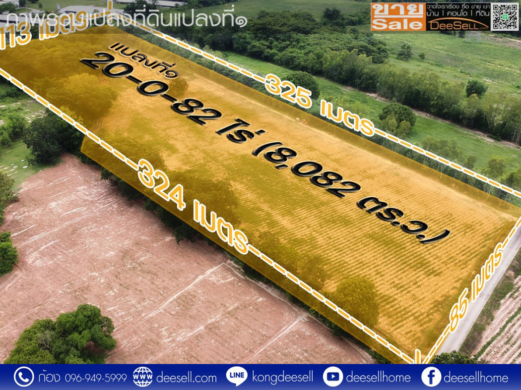 ขายที่ดินสระบุรี เจริญธรรม อำเภอวิหารแดง 2 แปลงรวม 30 ไร่ ราคาถูกที่สุด รูปที่ 2