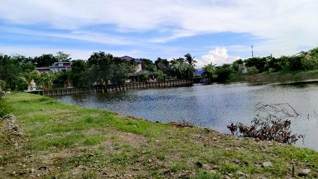 ขาย ที่ดิน ติดน้ำ ติดถนน บรรยากาศดี 4 ไร่ บางระมาด11 ตลิ่งชัน กทม รูปที่ 4