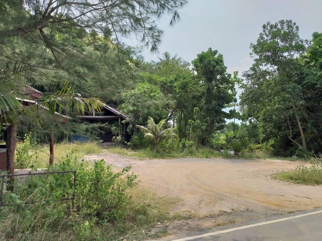 ขายที่ดินวิวทะเล ติดถนน 3 ใกล้ท่าเรือ ทะเลปากบารา สตูล รูปที่ 1